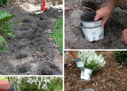 10 gardening tricks for busy summer residents