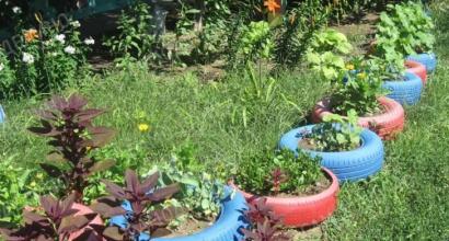 How to make beautiful flowerbeds and flowerbeds from old tires at your dacha with your own hands - instructions and photos